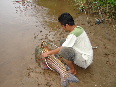 พี่ป้อเพื่อนไทยผู้ตักปลาตัวนี้ครับ