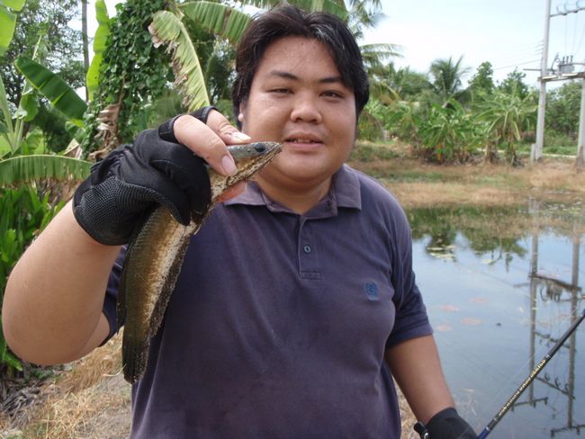 เอ้า นังโน๊ต นวมินทร์......คนนี้แหล่ะค�