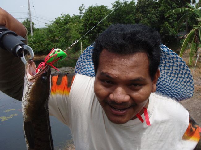 กบไม้ทีเด็ด ไม่ใช้ไม่ไหว เดี๋ยวโดน�