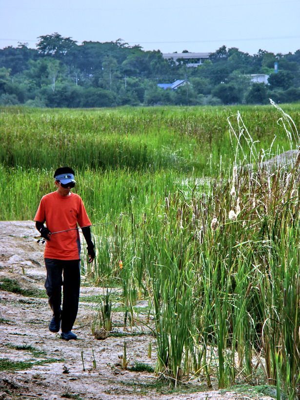 ระหว่างนั้น
 กุมารที่สี่ก็โผล่มาพอดี
 เอาลูกเมียไปแหมะไว้ที่เดอะมอลล์
 แล้วรีบบึ่งรถมาทันที
 :la