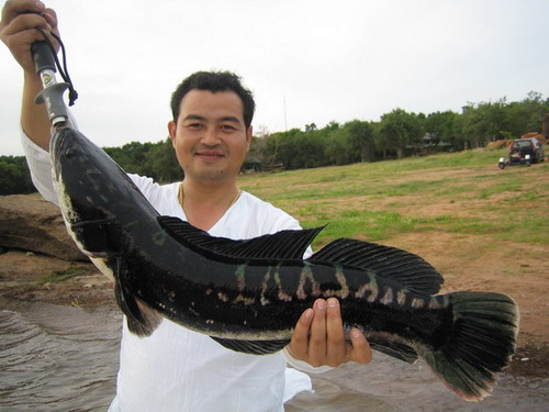 วันนี้เพิ่งไปลงขันที่ชมตะวันมาครับน้ากา ฝากรูปให้ดูว่า
ไซด์นี้พอจะเรียกว่าที่1ได้มั้ยครับ (ยื้มเขาถ