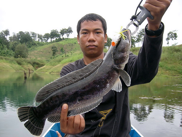ตัวนี้มากัดซะกราบเรือเกือบทำคันหั