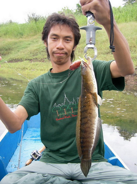 ตัวสุดท้ายของทริฟนี้ช่อนไซส์ปลาเค็ม