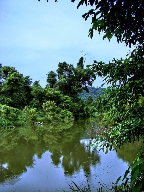 มีเสืยงปลาขึ้นเป็นระยะๆ เหมือนกัน
 