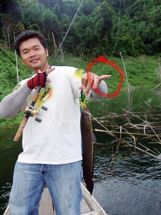 อะไรขอแกนังถ้ำ.....แต๊บหลุดเหรอ..... :laughing:
