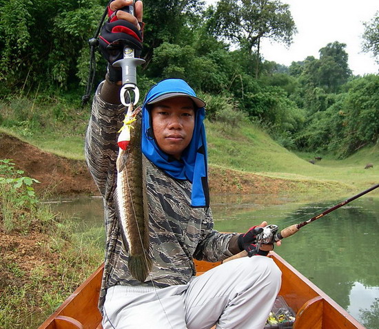 ช่อนปลาเค็ม ไม่ได้นัดไว้มาไมเนี่ย  :laughing:
