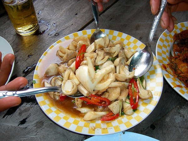 ผัดเห็ดปลวก

จานนี้หมดก่อนเลย  :umh:
