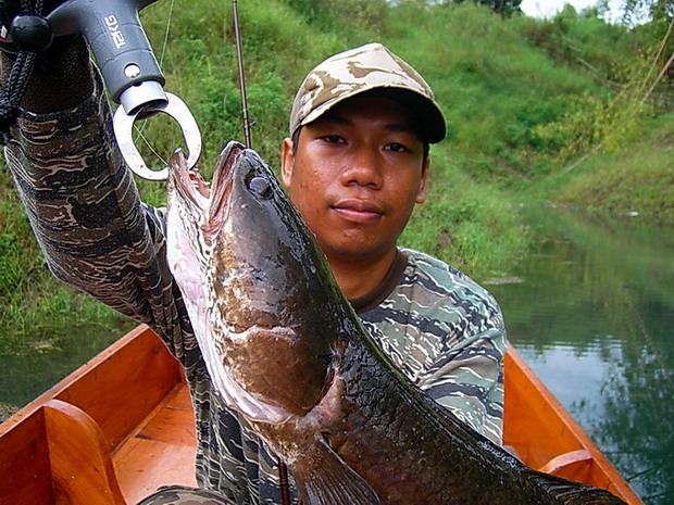 ตัวสุดท้ายของเรือผม ครับ 
