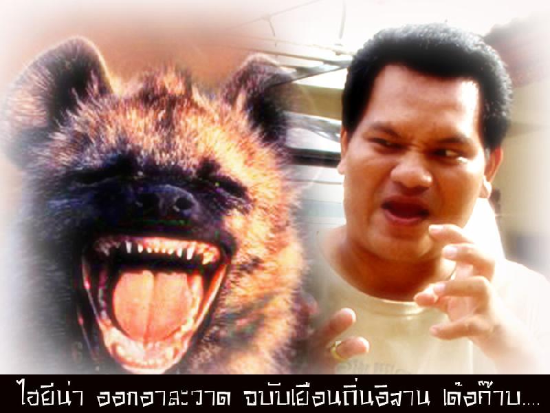 โหวตก่อน............

หวัดดีคร๊าบบบ...น้ามาด ไปโคราชหาคนเข้าแก๊งได้กี่คน....เอแต่ปลา น้ามาดอยู่ใหน