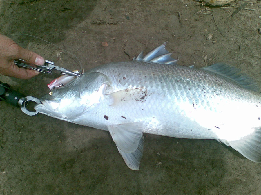 ตัวนี้ เอา"ตา"กิน

 :laughing: :laughing: :laughing:


