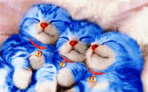 แหล่มเลย ...   :love: