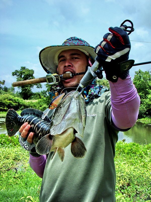 หวัดดีจ้าน้าthana_ampawafishing 
ขอบคุณอย่างเหลือหลายที่แวะมาเป็นแรงใจจ้า
 :love: :love:

******