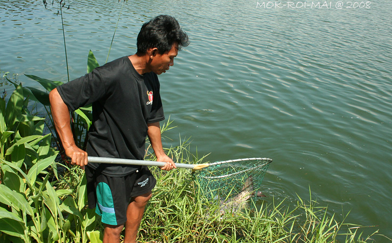 ต้องให้เด็กบ่อช้อนให้ครับ แบบว่าหมดแรง....แก่แล้ว   :grin: