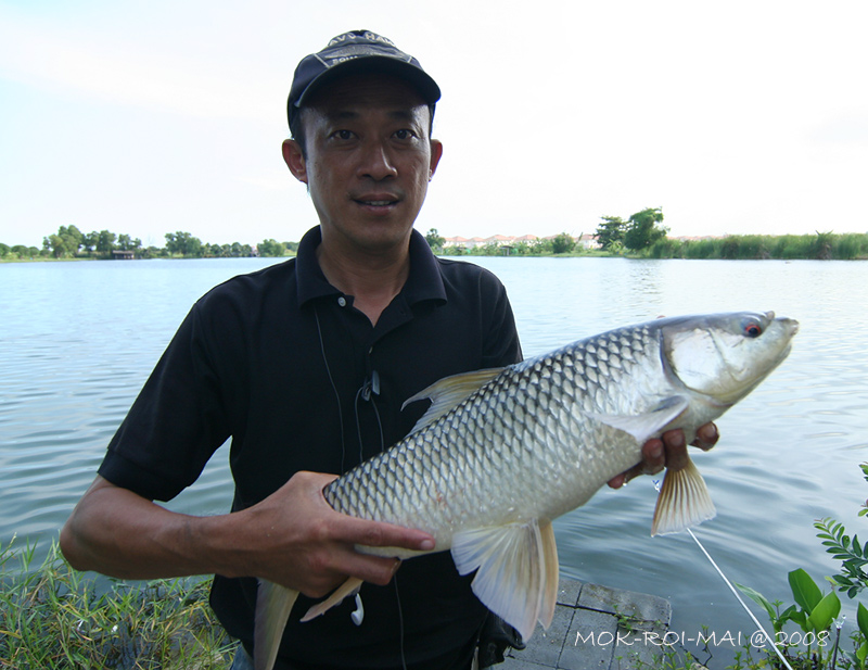 ตัวที่สองของวันนี้ครับ นวลจันทร์ไซค์ สาม ......