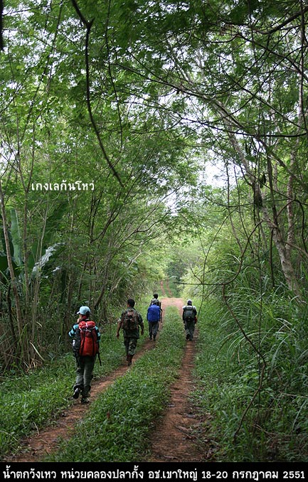 สุดเส้นทางที่รถมาส่ง เราก็ต้องพึ่งพาตัวเองกันแล้ว

เอาล่ะสิ่ไม่ได้ขึ้นเขามาเกือบสองเดือน สภาพจะไหว