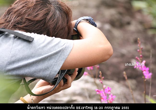 เอื้องม้าวิ่งเริ่มบานต้อนรับแขกแล้วค่ะ แต่ก้มหน้าถ่ายมากไม่ได้

เด๋วหลงทางกับเพื่อน ๆ เส้นทางมองยา