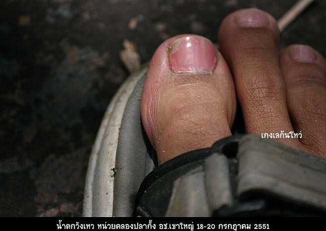 เอาล่ะ เด๋วจะพาลงไปชมน้ำตกด้านล่าง