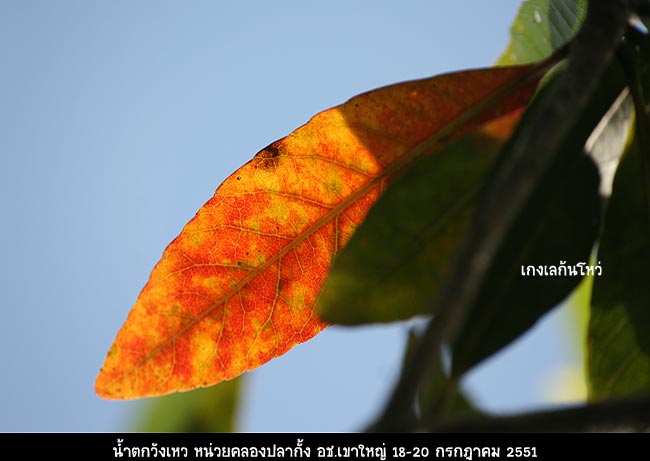มีแดดให้ดีใจเล่น