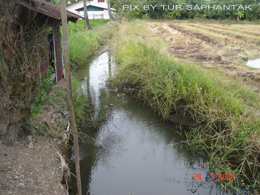 ด้านหลังดงแห้วครับ :grin: :grin: :grin: :grin: