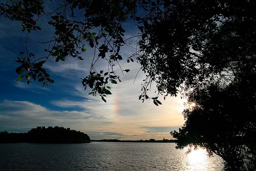 แม่น้ำบางปะกงนี้สวยจริงๆๆๆๆน่าชนแก้วน่ะ :cheer: :cheer:
