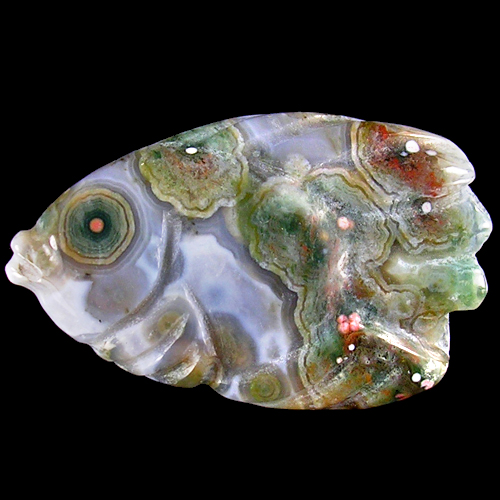 Is there any fish more? I can't wait to see.