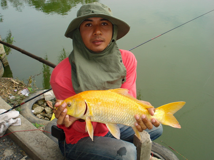 ลองครับ