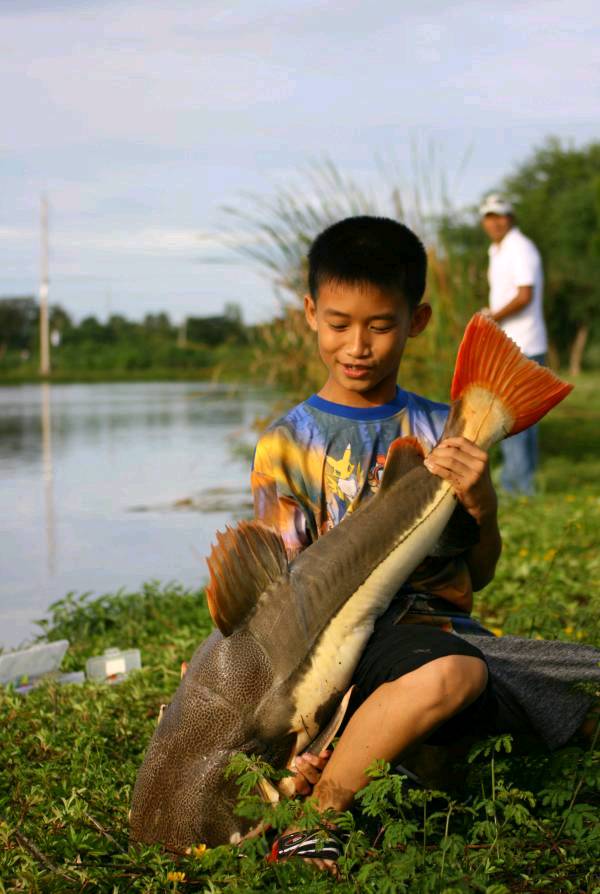 ไม่ไหวแล้ว ...