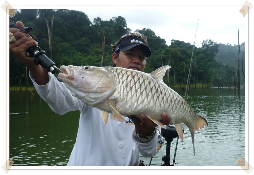 ตัวนี้ได้ใจครับ 3.4 kg ขอเก็บขึ้นเรือสัก 1 ตัว ครับ ( กับแกล้มตอนเย็น )