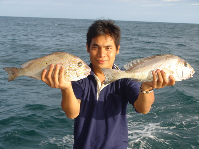 ได้มาแล้วครับ กับข้าวเย็นนี้ :grin: