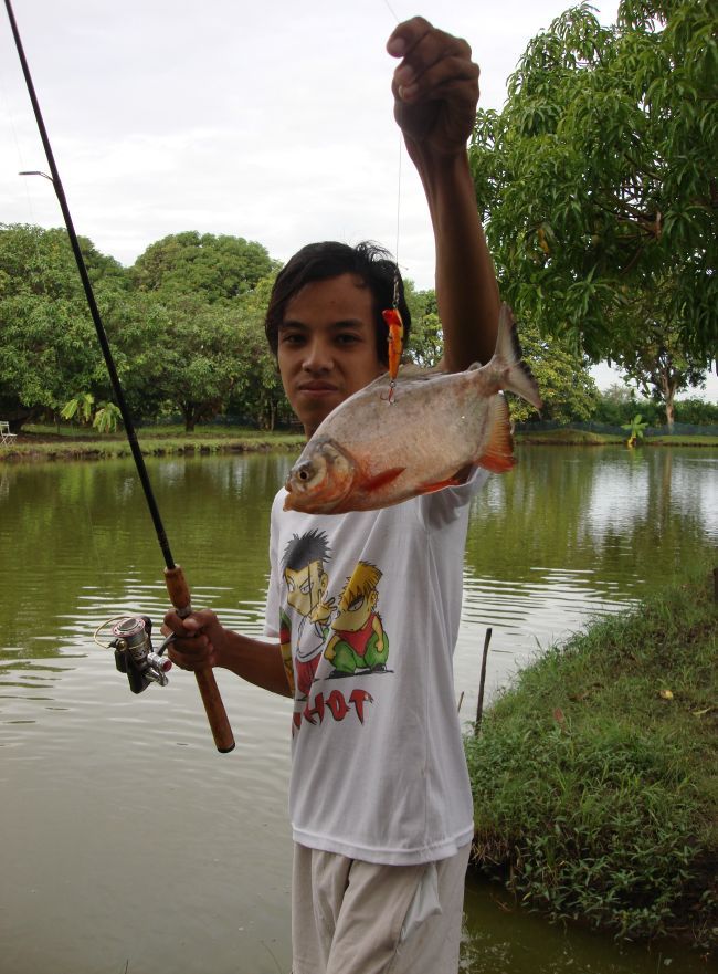 ตัวนี้เป็นปลาฟาวว์ครับไม่กัดทางปากมันเข้ามาโฉบเหบื่อเลยโดนเบ็ดด้านข้างครับ

สวัสดีครับน้าeakl :gri