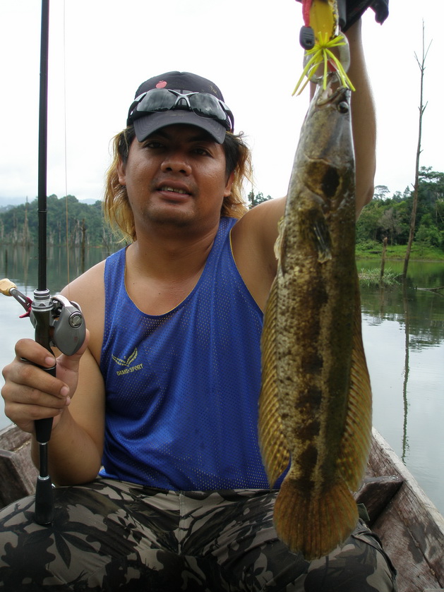 ปลาสวยใหมครับ...
หวัดดีน้าkanok น้าzazr ครับ
