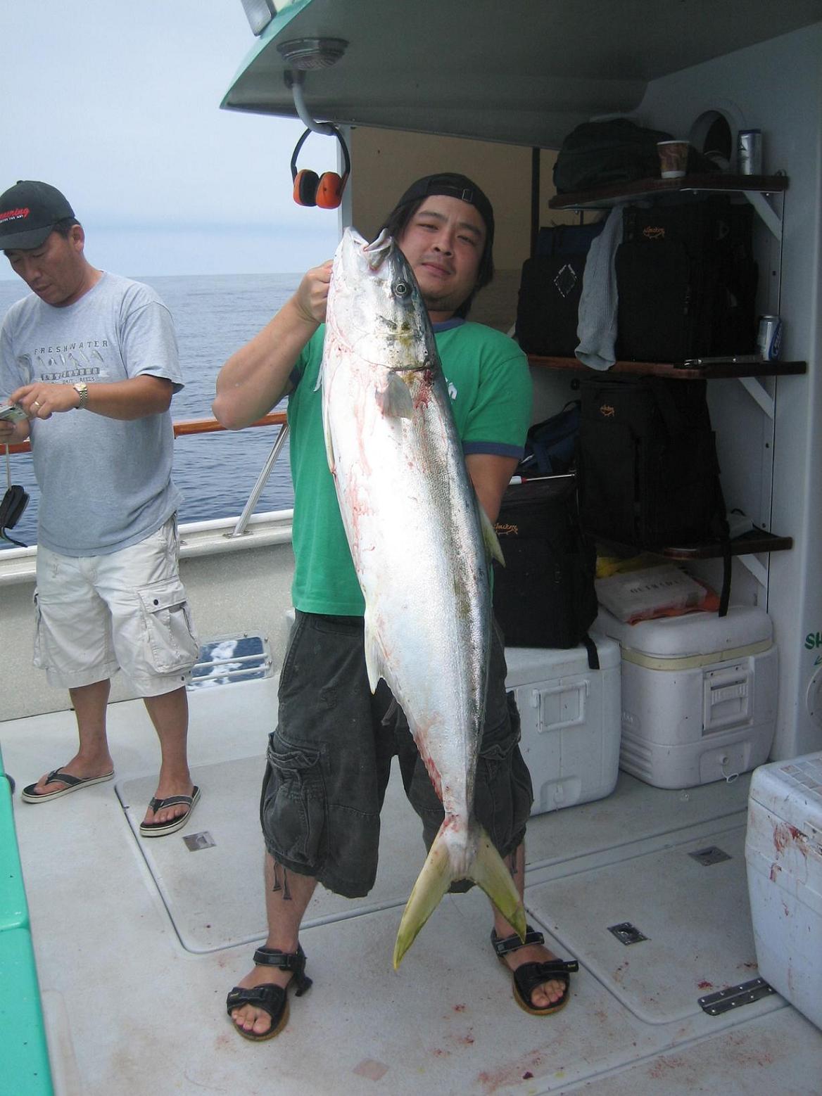 มาเเล้ว  สิ่งที่ ตามหา Yellow tail  ไซด์ 25 lbs+   
   