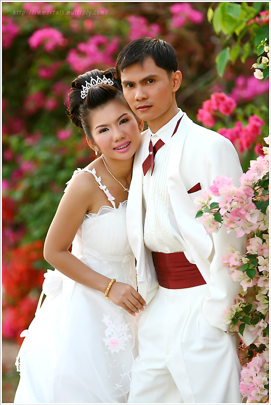การมองหาและเลือกฉากหลัง 