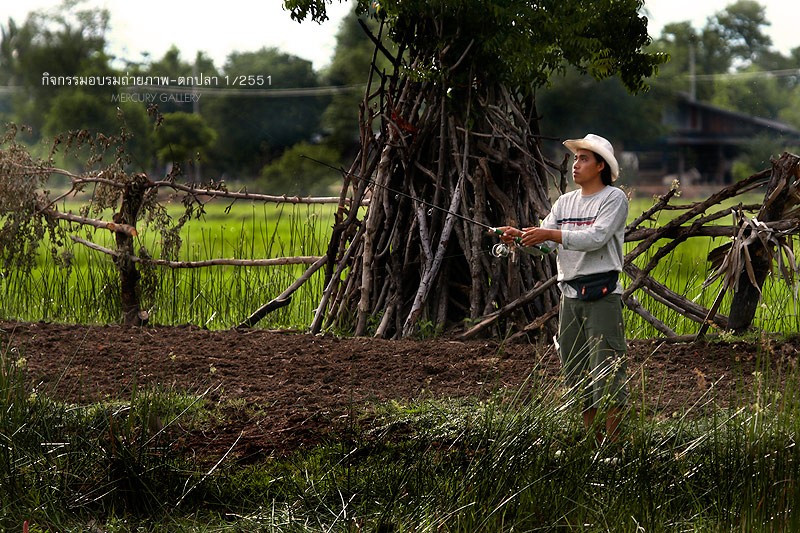 อีกวันครับ

หวัดดีครับป้าส้ม กระทู้นี้มีแต่รูปไม่ค่อยมีสาระครับ  :grin: