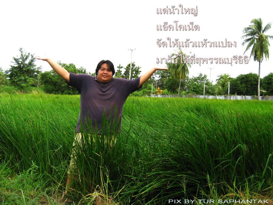  [q]เข่งเดียวน่าจะไม่พอนะน้าตั้ว.....ผมว่าน่าจาทั้งสวนเลย....  คนแห้วเยอะ................[/q]

จัด