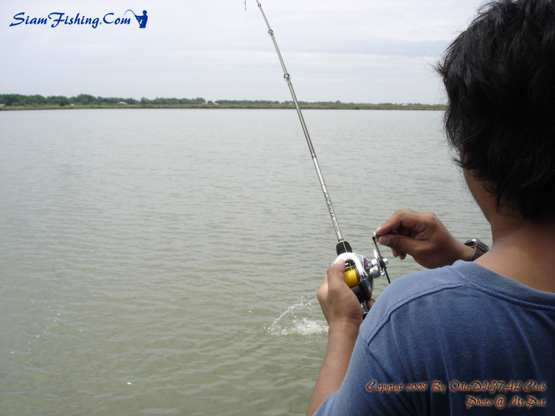 
    ไม่รู้ตัวอะไร เราก็ลุ้นๆ น่าจะเป็นกระพง 
        เพราะ เอาป๊อบ Lunkers ไปตี สงสัยกระพง แน่นเล