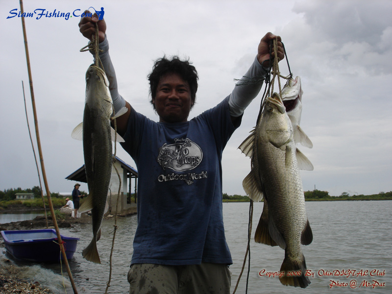 
    กระพงก็ใช่น้อย บางส่วนทำกินกันที่วังแล้ว 
       :smile: :smile: