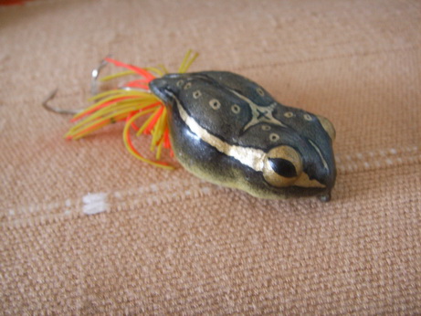 เนียนเลย