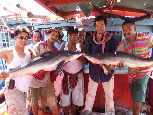 ความภาคภูมิใจของไต๋หลี  เรือศรีวัฒนา แห่งชมรมเรือตกปลาปากบารา อ.ละงู  จ.สตูล  อีกแล้วครับท่าน....ขอพ