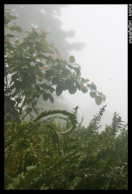 สายหมอกไม่ได้จางหายไปเลย สายฝนยังตกปรอย ๆ ตลอดเวลา
และแล้วก็โชคดี เมื่อพี่เก๋ฝากฝังให้พี่ผู้ช่วยฯ ล