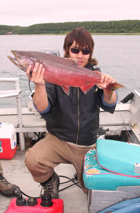 ขึ้นมาละครับเป็น King Salmon หรือ Chinook นั่นเอง เป็น 1 ใน 5 ชนิดของปลาแซลมอนในเขตนี้ เป็นชนิดที่ให