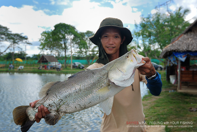 แม๊... ตัวไหนที่โดนหลอกขายมานี่ ใช้ได้จริงๆ ...
กะพงซัดไปสามไม้ครับ Minnow ตัวนี้

ในใจเลยคิด ...