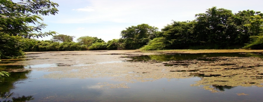 หวัดดีจ้าน้าmarnburapa 

*********************
ว่าแล้วเราเก็บฉากกันดีกว่า
  :love: :love: