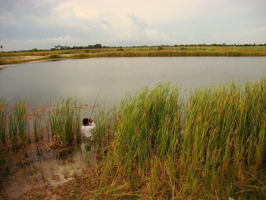 หวัดดียามเย็นจ้าน้าthana_ampawafishing

**************************************
บางครั้งต้องลงทุนแ