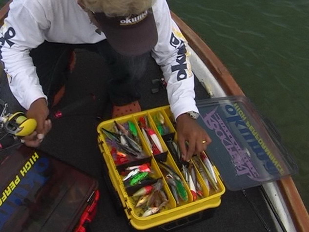 สวัสดีครับน้า [q]jamefishing[/q]





 [q]+1 ปกติปล่อยอยู่แล้ว แค่สองตัวเองที่หลุดไป[/q]


