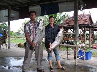 จัดมาเร็วๆน้าแพท ตอนนี้อยากมากถึงมากที่สุด ผม 1 + ผบ.ทบ.อีก 1 ครับน้า โทร.081-399-6229 มานะ ครับผม