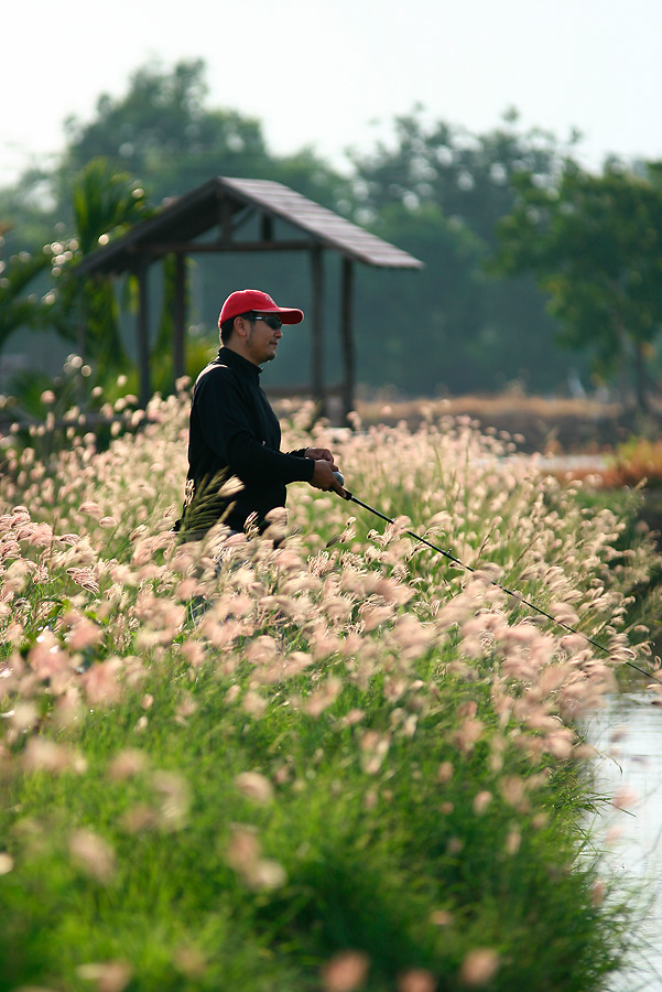 กระทู้   นายแบบ  "หล่ออย่างเทพ"  ไม่มี