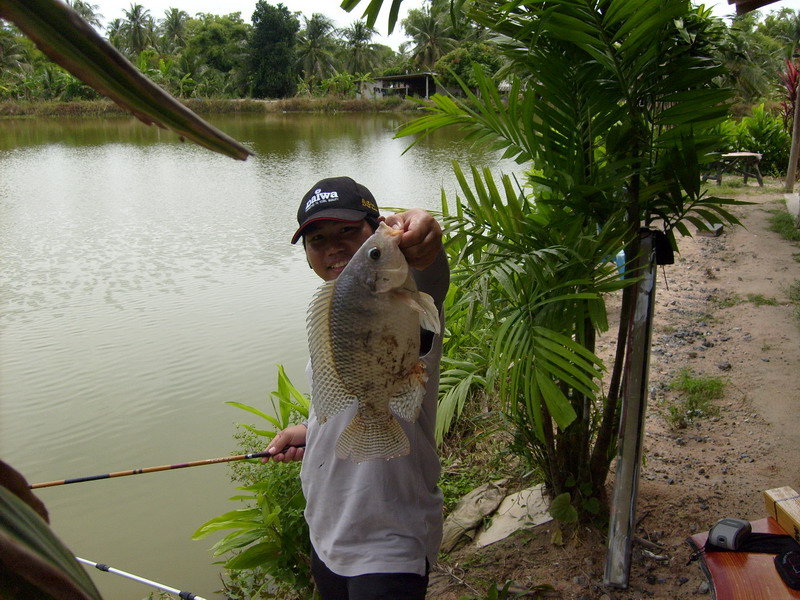  :love: :love:....ถ่ายรูปให้หน่อยจ้า .... :love: :love: