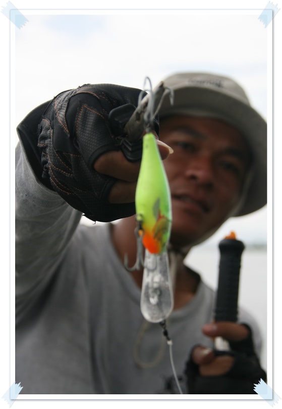 ใครมีโอกาสไปติดตัวนี้ ไปด้วยน่ะครับ Rapala Risto Rap 8 ซม สีนกแก้ว