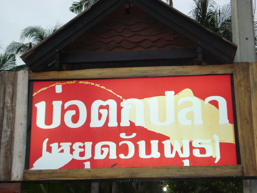 บินเดี่ยว2วันที่บ้านในสวน